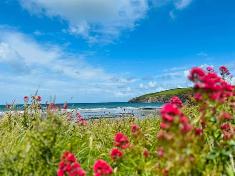 Fishguard